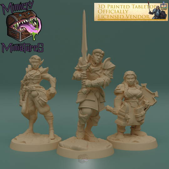 Adventurer Group 2 - The Lost Adventures from 3D Printed Tabletop
